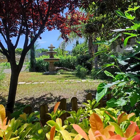 Les Moreres A Space For Tranquility Feriehus Valencia