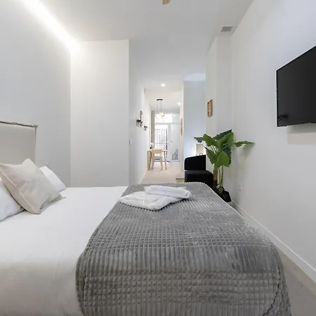 Apartment Rmz31 Loft - Espacioso Y Acogedor Estudio Con Terraza En Zona Ayora Valencia