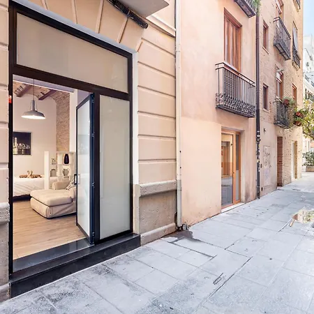 Appartement Loft Ciudad Vieja Valence