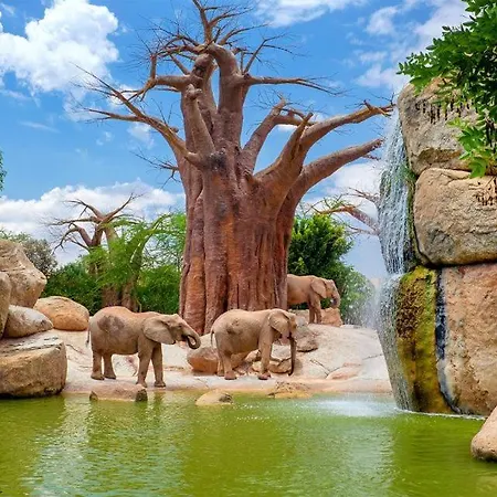 Dúplex-lofts Les Arts I Les Ciències Valencia