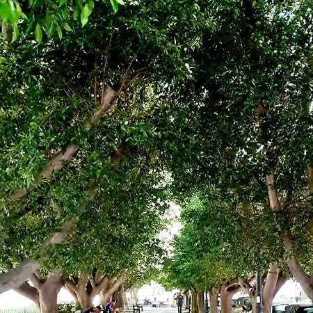 ゲストハウス Yard Patraix By Concept Flats バレンシア