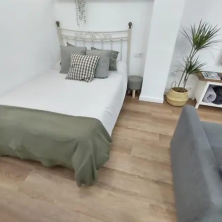 New Plaza Del Cedro * 발렌시아