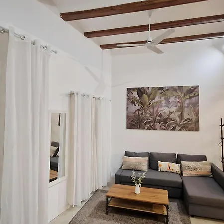 Appartement Acogedor Piso En El Corazon Del Casco Historico Valence