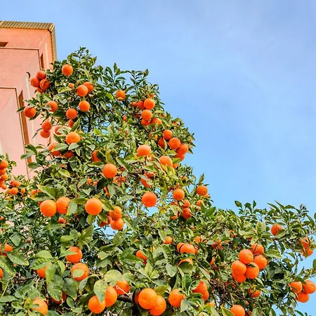 Cabanal House - 10 Min To Ocean , Fastwifi , Smarttv, Ac Apartment