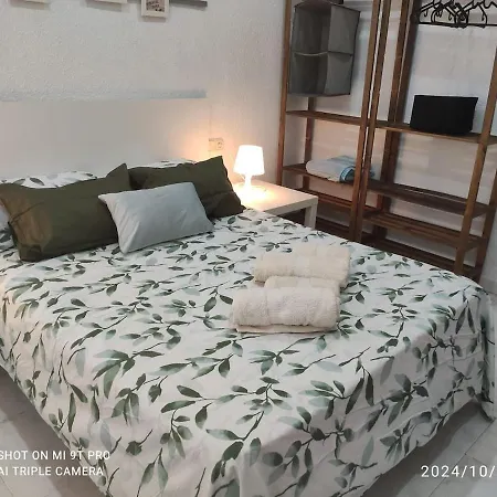 Bonito Around The Center *