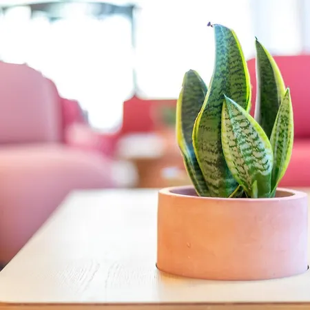 Nido Malvarrosa Отель