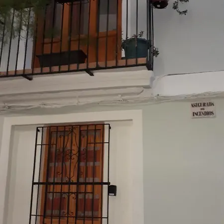 Amplio En Centro Historico 瓦伦西亚