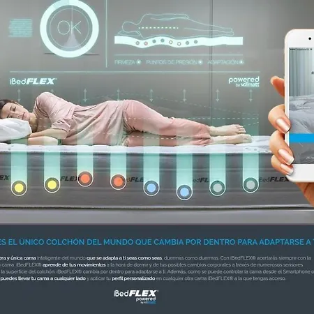 Bear Homes - Olimpia *