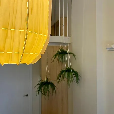 Osito Hub - Poeta Duran