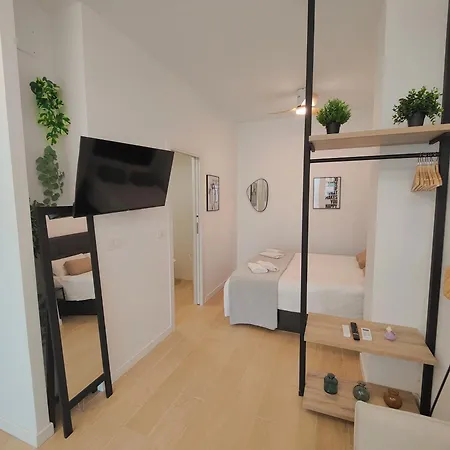 Delfin - Entire - Near And Stadium By Rio Turia Valencia