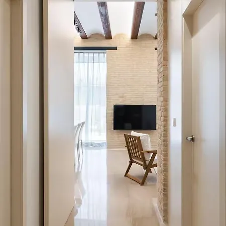 Palacio De Musica-sunny Terrace 8hspd -nixon Apartment Valencia
