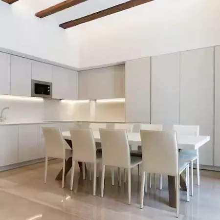 Apartment Palacio De Musica-sunny Terrace 8hspd -nixon *