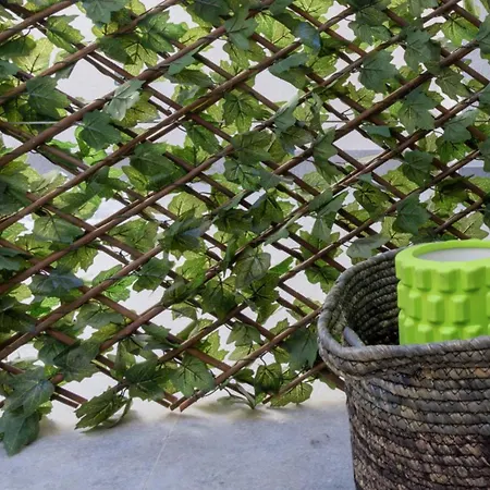 Osito Hub - Duque De Gaeta