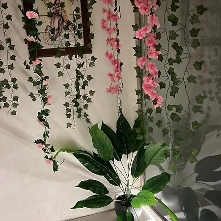 Apartamento Tosalet *