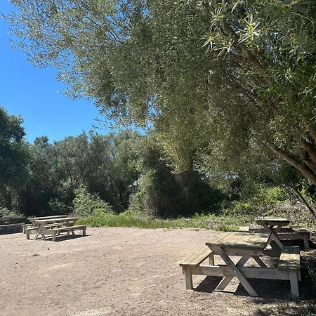 Con Barbacoa Familias * Valencia
