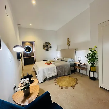 Appartement Con Entrada Independiente A Pocos Pasos De La Ciudad De Artes Y Ciencias Y El Oceanografic A Solo 1 Minuto Caminando Del Jardin Del Turia Valence
