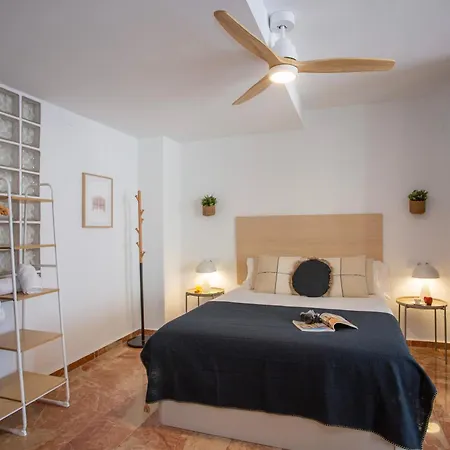 Singularstays Palau De La Musica Lofts Valensiya