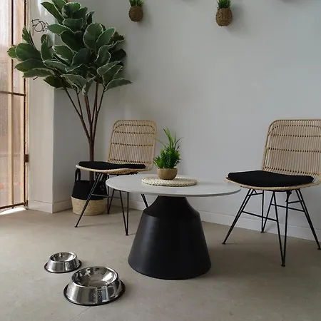 Mdb 52a - Loft Apartamento Valencia