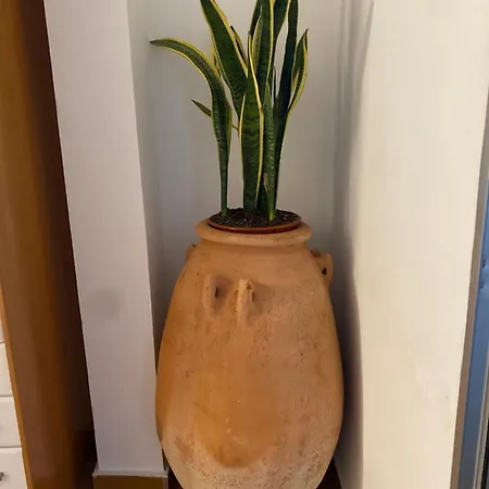 Charming Fisherman's House Cabanyal Cabañal