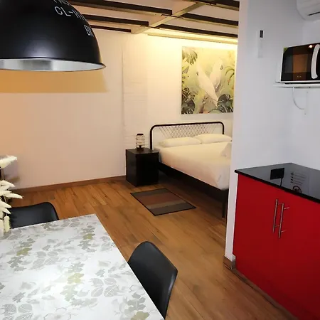 Increible Con Terraza Al Lado De Torres De Quart Apartment *