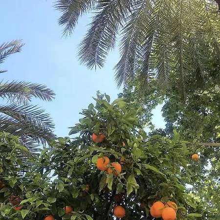 Stylish Near Old Town & Turia Park * Valencia