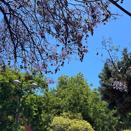 Lounge Garden Sea Mint Fresh Apartamento Valência