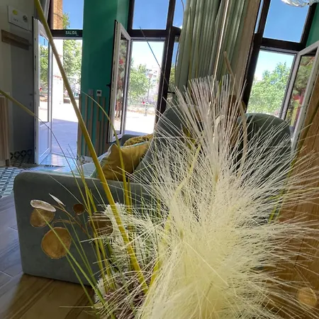 Lounge Garden Sea Mint Fresh *