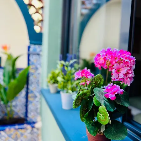 Trendy Ruzafa Neighborhood - Spacious Luxury 3br With Double Terrace Apartment *