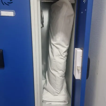 & Arts * 瓦伦西亚