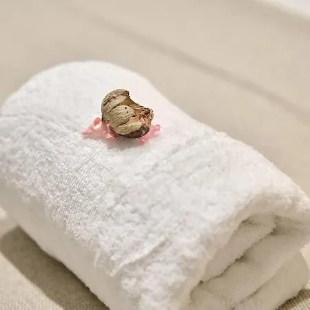 Apartment Romantic Roig Arena N9 Virkin Valencia