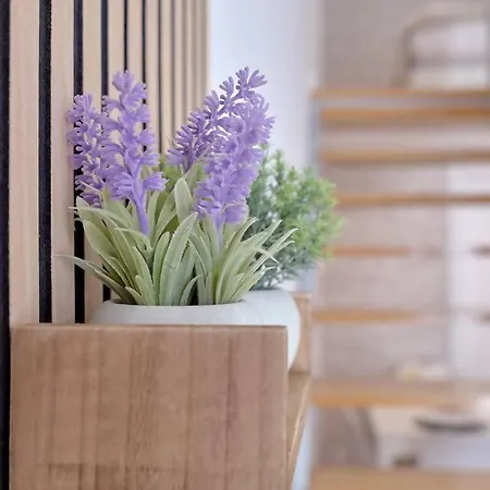 Romantic Roig Arena N10 Virkin * Valencia