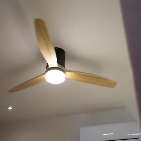 Nomad Haux Zaidia Valencia