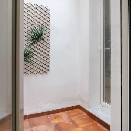 Vlc Host - Alfaro A
