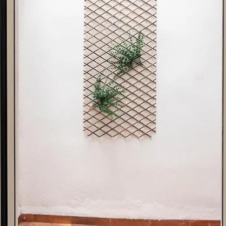 Vlc Host - Alfaro A Apartamento