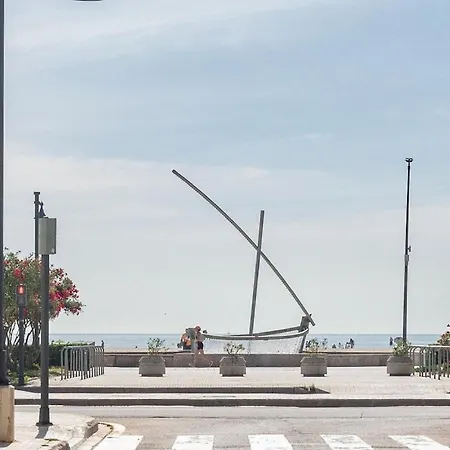 Malvarosa *