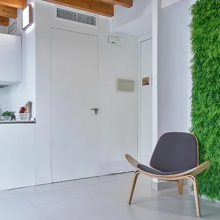 Apartamento Loft Elegante Con Techos Altos En Plaza Del Carmen *