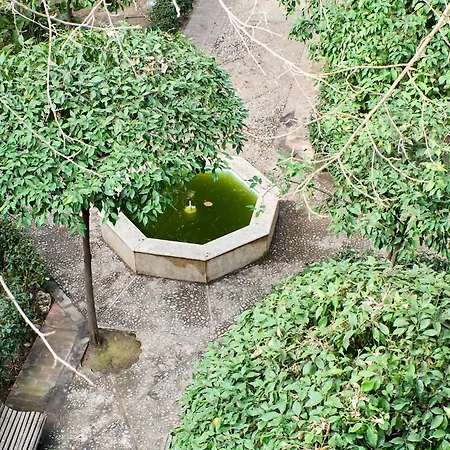 Loft Elegante Con Techos Altos En Plaza Del Carmen Apartamento *