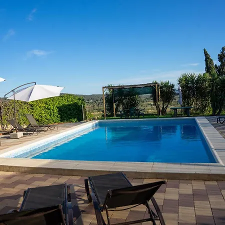 Beautiful With Huge Private Pool And Vineyard View *