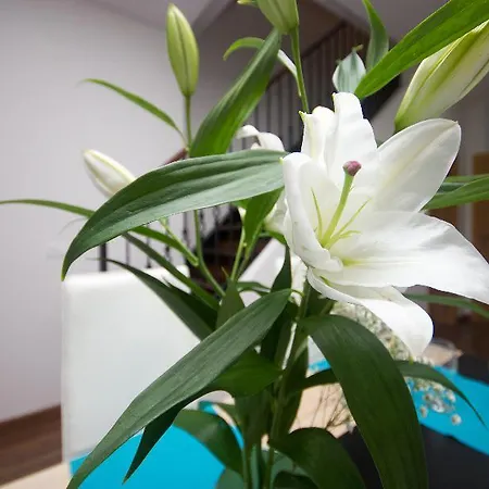 Oyo Style Puerto Apartmán