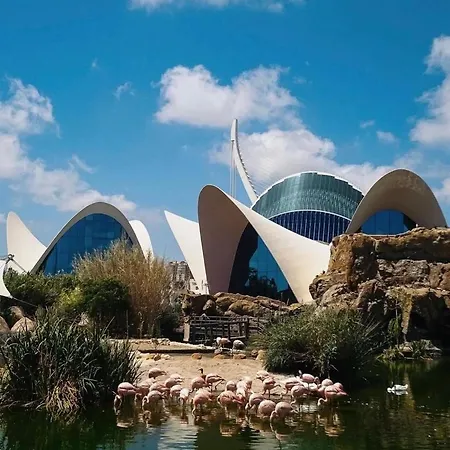 Ciudad De Artes Y Ciencias *