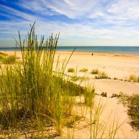 Che Loft! Artes Y Ciencias * Valencia