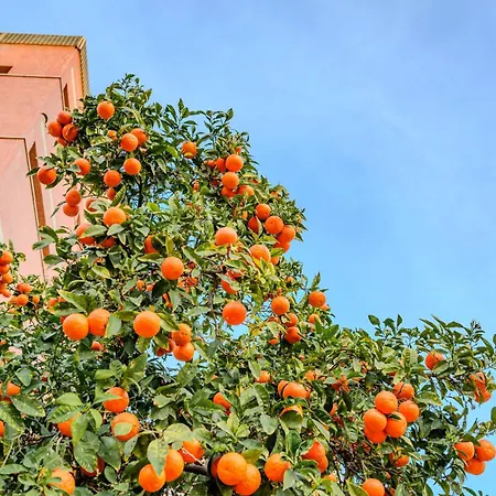 Ayora Penthouse - Jacuzzi, Huge Private Rooftop, Bbq, Sunset Views, Fastwifi, Ac Appartamento Valenza