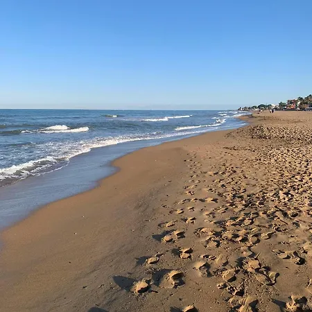 Playa