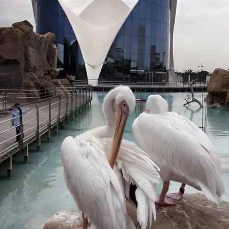 Ciudad De Artes Y Ciencias 4*