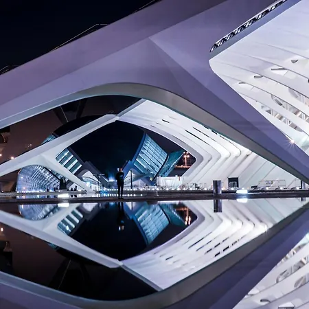 Ciudad De Artes Y Ciencias Valencia