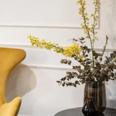 Blanq Comedias Valencia