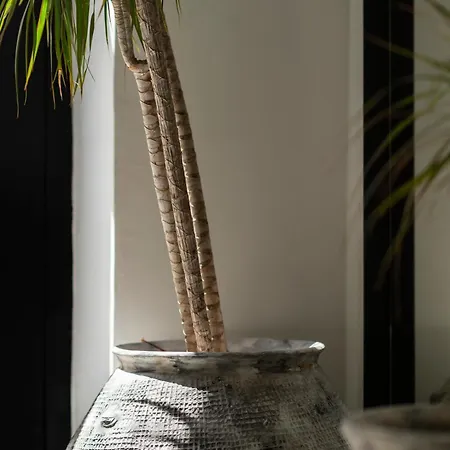 Blanq Comedias Guest house