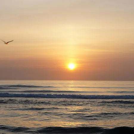 Daire Neobeds - Stylish Modern 1br Near Old Town & Steps From Turia Park Valensiya