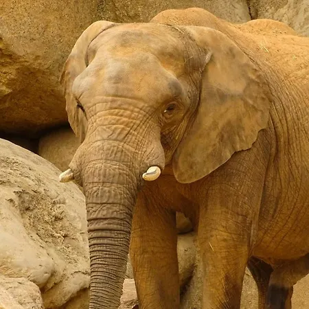 Appartamento Neobeds - Stylish Modern 1br Near Old Town & Steps From Turia Park *