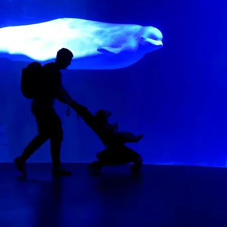 Neobeds - Stylish Modern 1br Near Old Town & Steps From Turia Park *